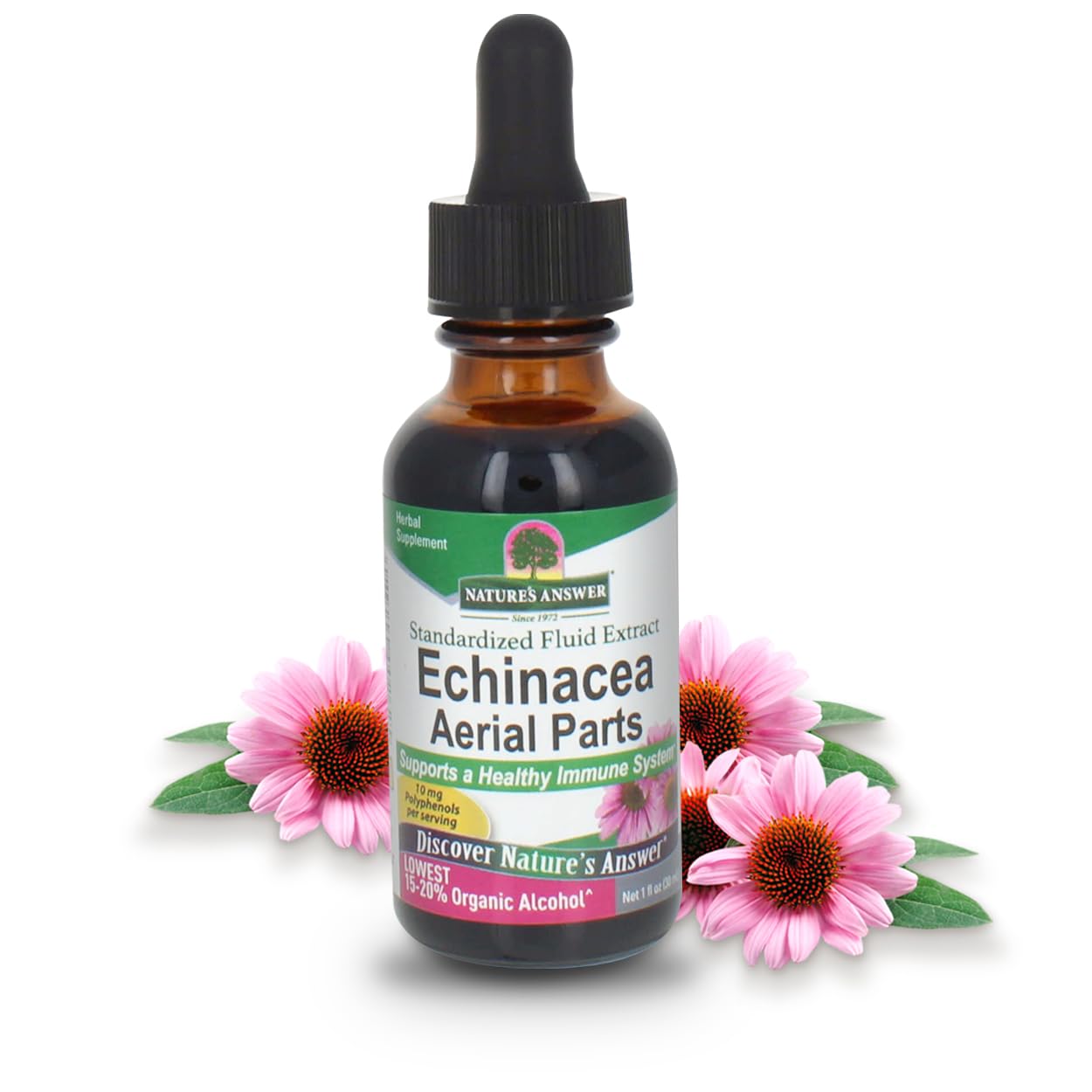 BioAroma Echinacea Extract 2本セット Amazon.com: Nature's Answer Echinacea with Organic Alcohol, 1